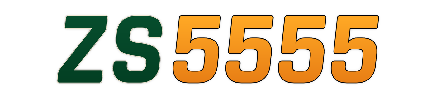 zs5555